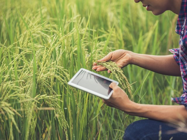 Curso Técnico em Agronegócios / EAD