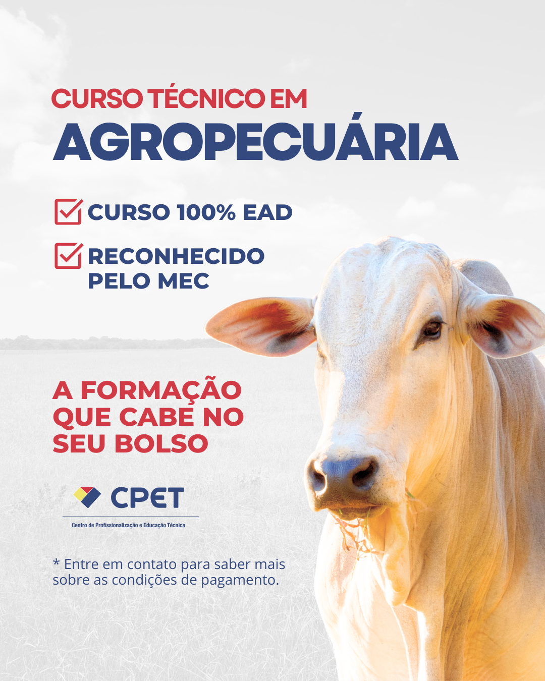 Curso Técnico em Agropecuária / EAD